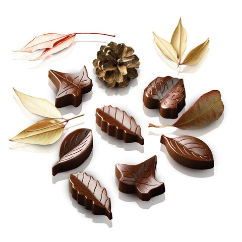 Scg10 Nature - Chocolade mal