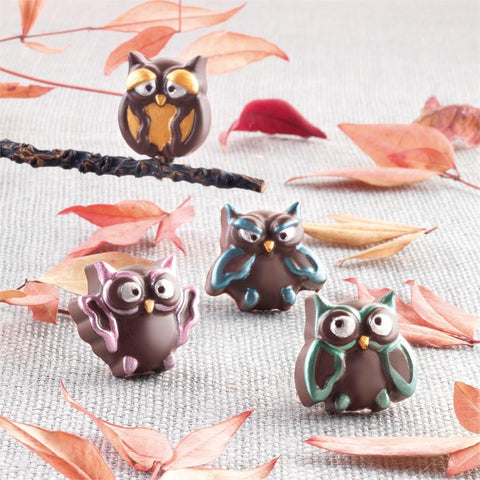 Scg26 Choco Gufi - Chocolade mal