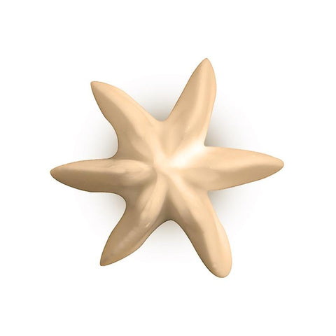 Bx1013 - Spuitmond RVS Bx Ø13 H43mm