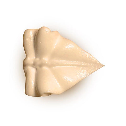 Bx1132 - Spuitmond RVS Bx Ø2 H42mm