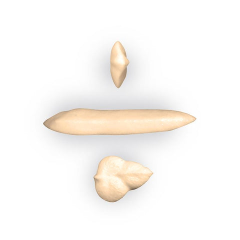 Bx1605 - Spuitmond RVS Bx 8X5 H52mm