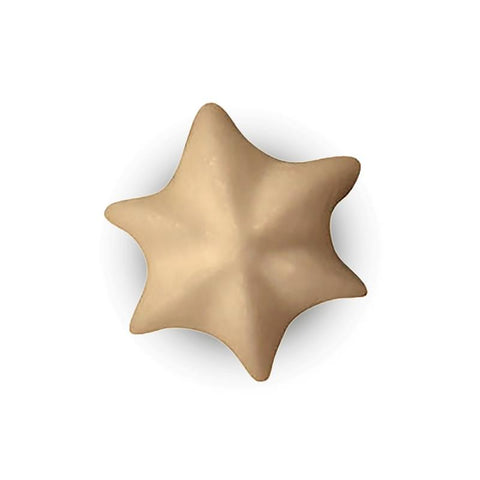 Bs114 - Spuitmond RVS Stervormige opening Ø14mm