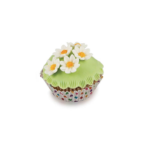 Slk803 Daisy - Mallen