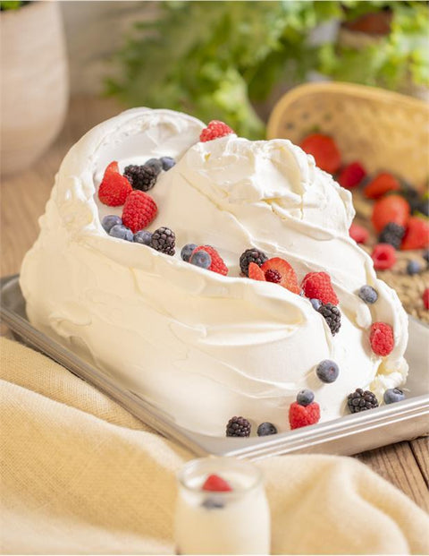 Yogurt 30 - Yoghurt poeder - 6x1kg