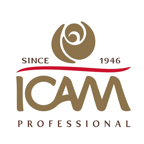 ICAM chocolade event